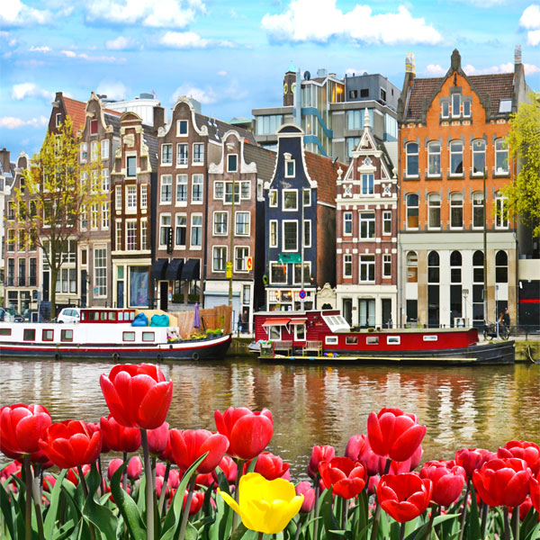 Taxi Transfers Frankfurt Airport (FRA) to any destination in Amsterdam